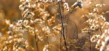 ЧИ ВАРТО ОПИСАТИСЯ ДУХІВ, ЯКІ ПРОСИТЬ НА КЛАДОБИЩІ - ПРАКТИЧНА МАГІЯ варто