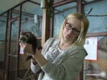 Країна Єнотія» дісталася Вітебська як мешканцям контактного зоопарку єнотія
