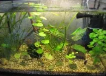 Акваріумний компресор води