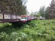 Алтайський гірський мед корисні властивості гірський