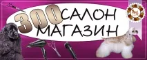 Тренінги мистецтву грумінгу мистецтву