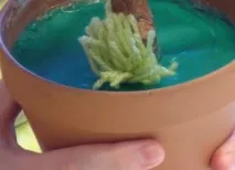 кухні