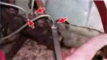 ПРИСТРІЙ ГОЛОВНОГО ГАЛЬМОВОГО бний опис пристрою головного гальмівного циліндра бний