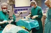 Вегетаріанство це психічне відхилення думку