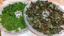 Випуск №13 Заготівля