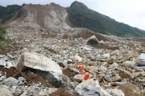 Всього у світі порід кішок порід