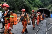 Всього у світі порід кішок порід