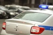 Всього у світі порід кішок порід