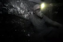 Всього у світі порід кішок всього