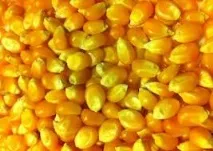 Зберігання кукурудзи, Agroportal зберігання