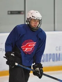 яструби