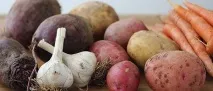 Зберігання капусти, коренеплодів, цибулі та часнику Фото, Відео зберігання
