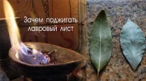 Навіщо треба підпалювати лавровий лист у вашій оселі Ви будете приємно здивовані! Щаслива жінка лист