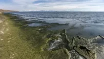 Забруднення Байкалу джерела та причини, вирішення проблеми байкалу
