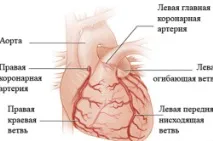 вентрикуларна