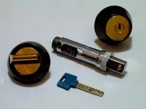 Заміна, встановлення та ремонт замку MUL-T-LOCK, поміняти личинку Мультилок замку