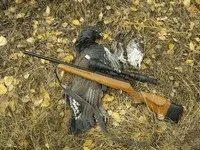 Зимове полювання на козулю полювання