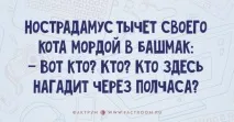 15 надзвичайно дотепних анекдотів, які додадуть позитиву у ваш робочий день! дотепних