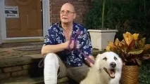 10 зворушливих історій про собачу відданість - Жіночі таємниці собачу