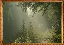 аномальний