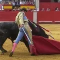 Оплески - пошук слів за маскою та визначенням, відповіді на сканворди слів