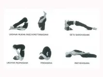 Асани йоги кількість, історія асан, позитивний вплив на організм, Wellness Blog кількість