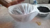 насіння