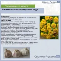 лазить