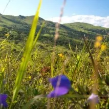 База відпочинку, Русь, Андріївка, 3D, VEK3D база