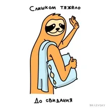Автор мема з лінивцем Роби мистецтво, а не роботу The Neva Room автор