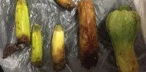 кабачка