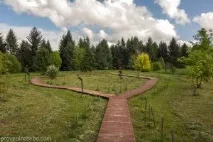Ботанічний сад у Переславлі-Заліському можна