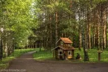 Ботанічний сад у Переславлі-Заліському ботанічний