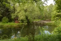 Ботанічний сад у Переславлі-Заліському саду