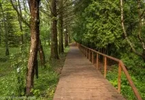 Ботанічний сад у Переславлі-Заліському переславлі-заліському