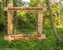 Ботанічний сад у Переславлі-Заліському саду