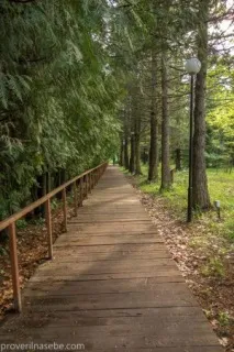 Ботанічний сад у Переславлі-Заліському ботанічний