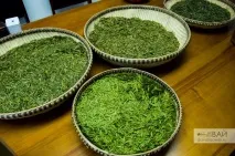 Чайні плантації Ханчжоу і чай Лун Цзін (Колодець Дракона), Давай Лаавай! Давай Лаавай, Подорожі чайні