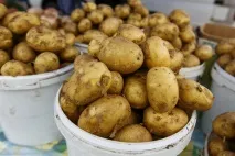 картопля
