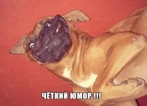 Смішні байки з реального життя - Про політику з гумором! політику