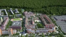 заморозив