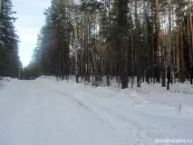 Дачний клуб Джерела клуб