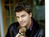 boreanaz