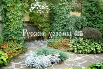 Дизайн проект ландшафту будинку