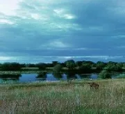 Санаторій ім захворювань