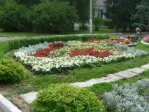 Санаторій ім лікування