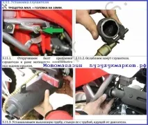 спортивного
