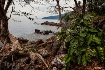 Таїланд. Сумний досвід на Ко Лані досвід
