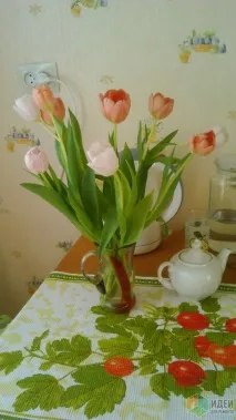 Хрущовка. Кухня. Потрібна допомога та поради від знаючих людей. допомога