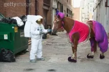 сама